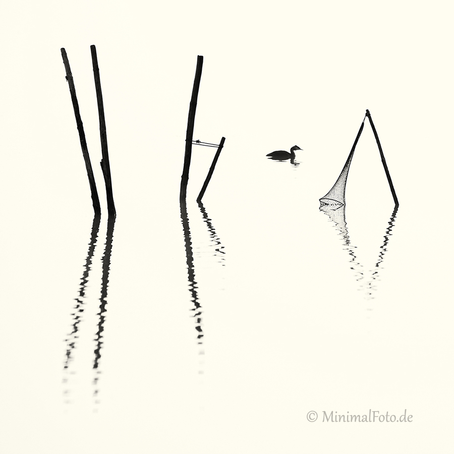 Haubentaucher-Grebes-Fisch-Reusen-Stange-vogel-bird-silhouette-Minimalismus-minimalistisch-minimalistic-black-white-schwarz-weiss-A_NIK6001a-sw