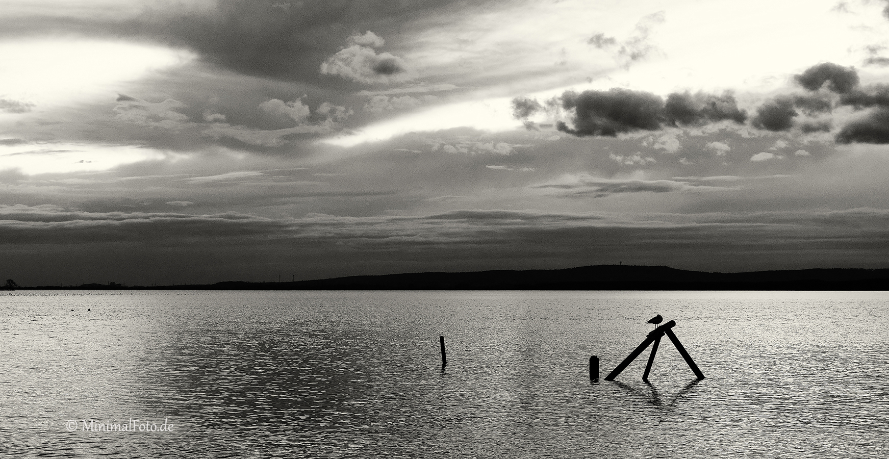 Moewe-gull-sea-silhouette-Landschaft-See-Lake-landscape-Minimalismus-minimalistisch-minimalistic-black-white-schwarz-weiss-C_SAM_1505a-sw