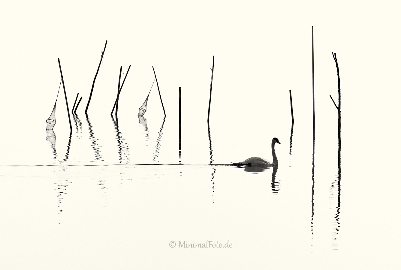 Schwan-Höcker-mute-swan-Fisch-Reusen-Stange-vogel-bird-silhouette-Minimalismus-minimalistisch-minimalistic-black-white-schwarz-weiss-A_NIK6024a-sw