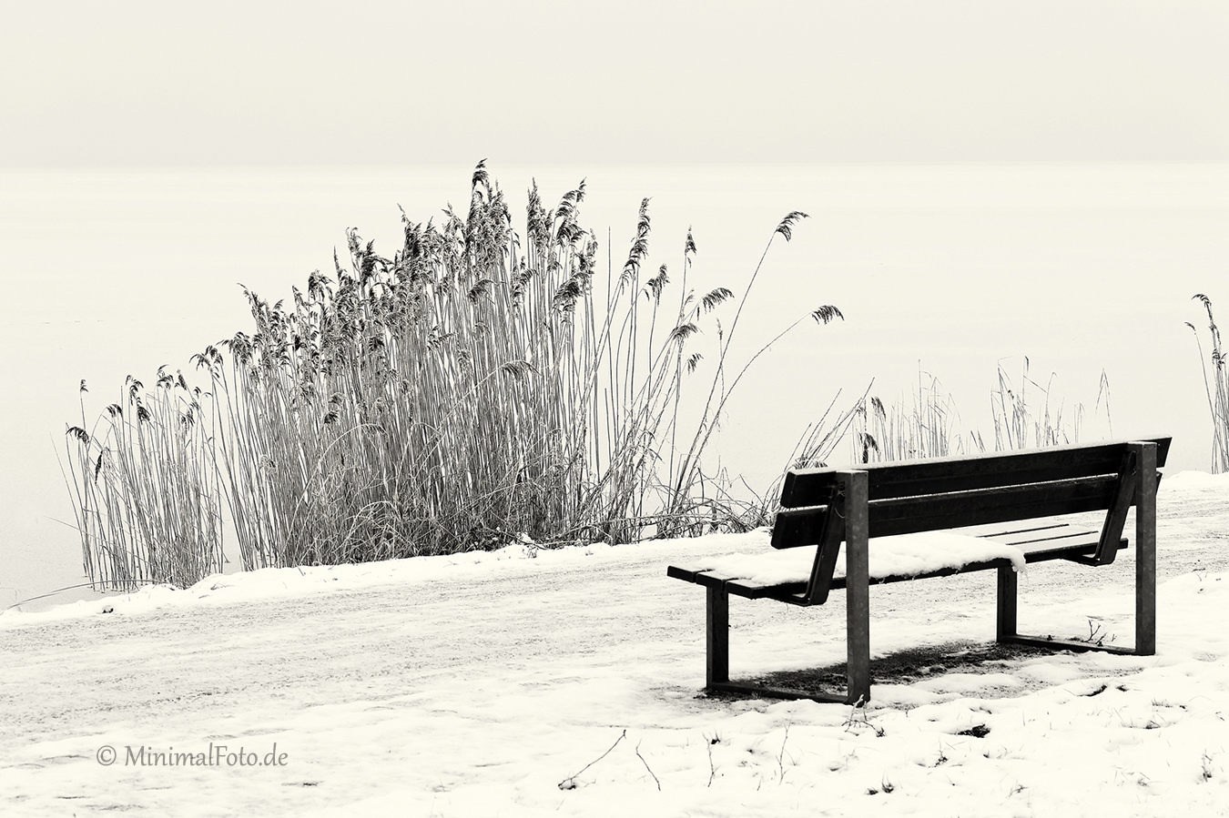 Bank-bench-Schilf-reed-roehricht-winter-Minimalismus-minimalistisch-minimalistic-black-white-schwarz-weiss-B_SAM0471-sw