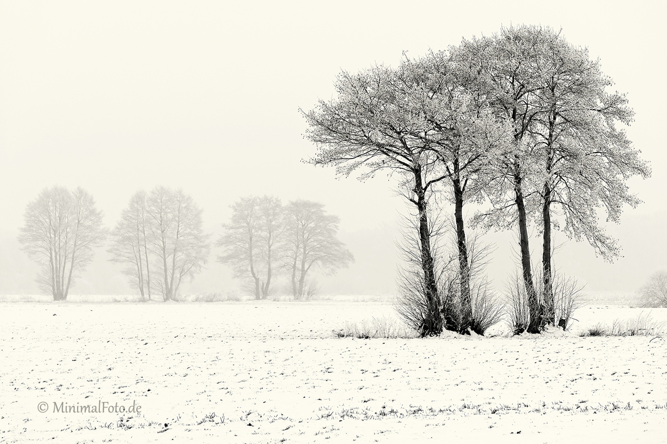 Baum-tree-winter-snow-schnee-Landschaft-landscape-Minimalismus-minimalistisch-minimalistic-black-white-schwarz-weiss-B_SAM0498-sw